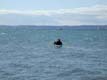 Scattering ashes on Puget Sound