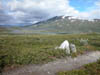 The Trail