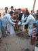 Planting tree with ashes