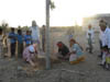 A Neem tree planted for Surain in 2002