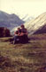 Appuyez pour la grande photo