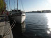 Le lac M�laren en bas de chez nous