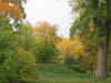 Fall