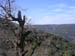 The Maures Mountains