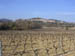 Grimaud