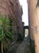 Grimaud
