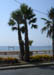 Cannes: La Croisette