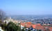 Grasse