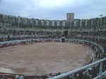 April: Kappl�pningen La Camargue