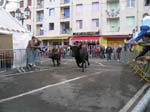 April: Tjurarnas l�pning