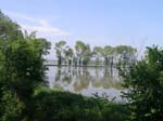 ... of the levee of The Rh�ne ...