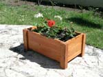 Rain's Flower Box