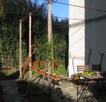 Our Grapevines