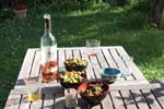 Wine in the Garden