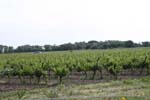 Domaine de Beaujeu (Camargue)