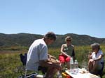 In the Alpilles (Small Alps)