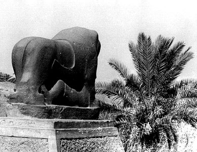 Stor bild av ena lejonet i Babylon