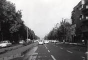 Shah Reza (den breda huvudgatan)