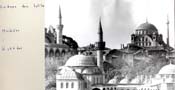 Mosk�er i <i>�sk�dar</i>