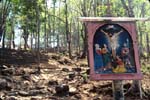 St Thomas: M�nga kristna i Kerala