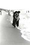 ... Cherai Beach