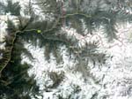 Gangotri-Bhojbasa-Gomukh, 2x18 km