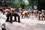 Chandigarh: Rock Garden av Nek Chand
