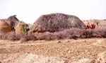 N�ra Rampura: N�gra bondfamiljer bor h�r