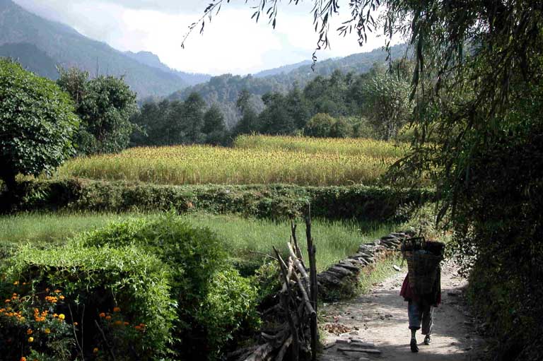 Ned till Khali Gandaki floden