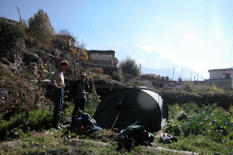 Tent in vegetable garden