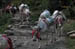 Mules on the trail