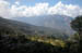 Ricefields on the way down to Khali Gandaki 1100 meters