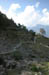 Trail