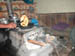 Tibetanskt k�k