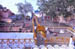 Festival preparations at main ghat