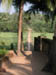 Kasaragod, Kerala: The path back from the beach
