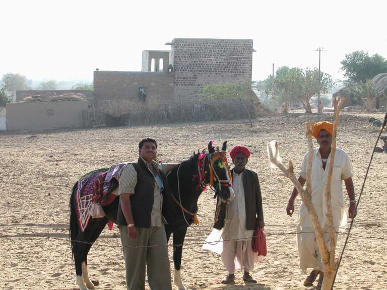 The horse and pride of the village