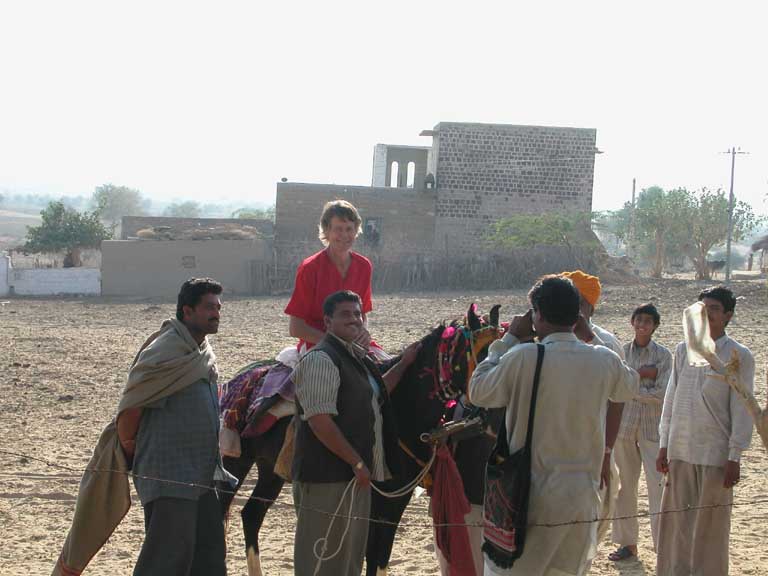 The horse and pride of the village