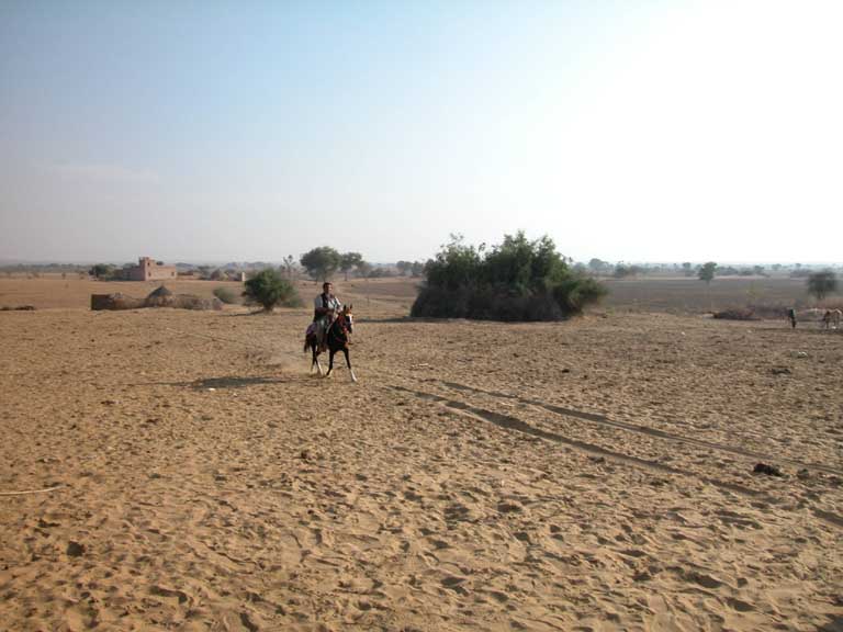 The horse and pride of the village