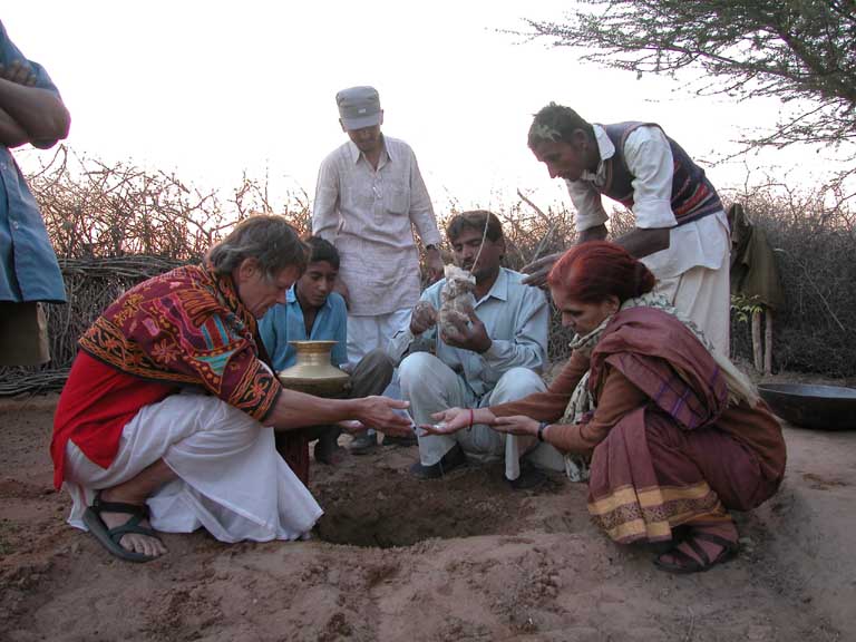 Planting tree with ashes