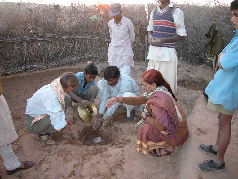 Planting tree with ashes