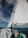 GoldDigger under sail