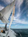 GoldDigger under sail