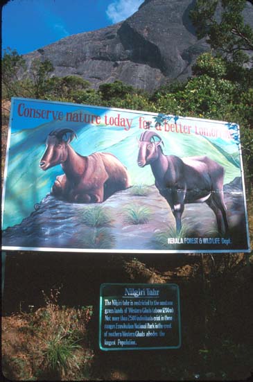 Munnar EravikulamNP billboard