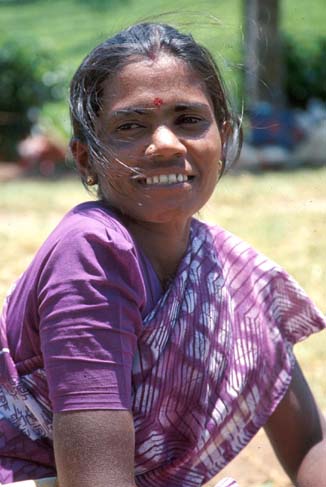 Munnar Tea picker