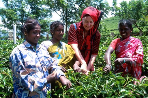 Munnar Surain tea pickers
