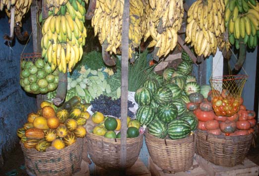 Thekkadi Fruit stand