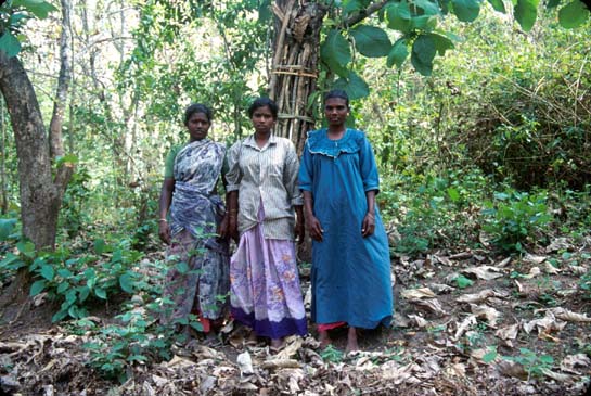 Thekkady 3 Women