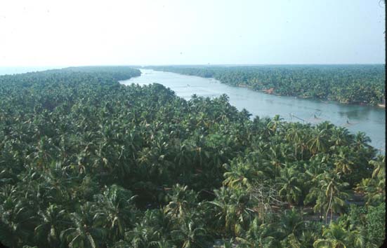Ashram River ocean view