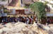 Tirupati Queue to get heads shaved